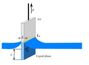 Schematic representation of Wilhelmy plate method
