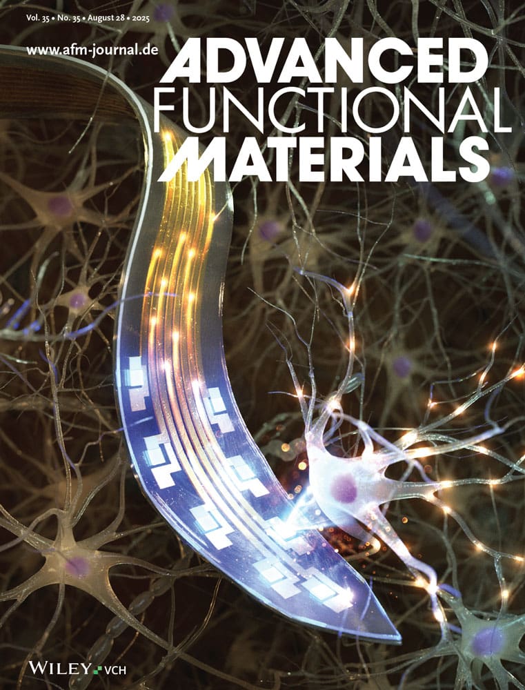 Engineering Asymmetric Nanoscale Vesicles for mRNA and Protein Delivery to Cells