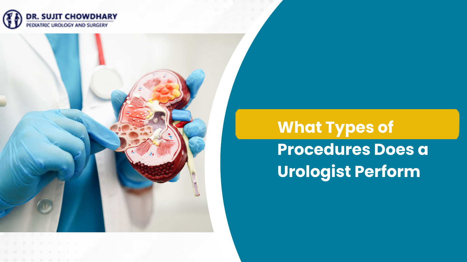 What Types of Procedures Does a Urologist Perform