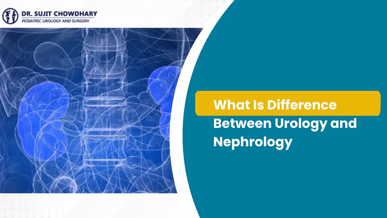 What Is Difference Between Urology and Nephrology