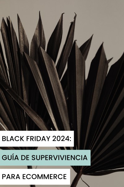 BLACK FRIDAY 2024 - GUIDE DE SURVIE DU COMMERCE ÉLECTRONIQUE