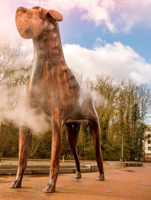 Mannes de Hond {{brizy_dc_image_alt imageSrc=