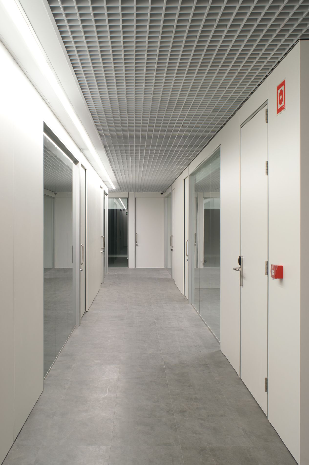 Fiark - Hegalak Kirol Zentro egokitua 4