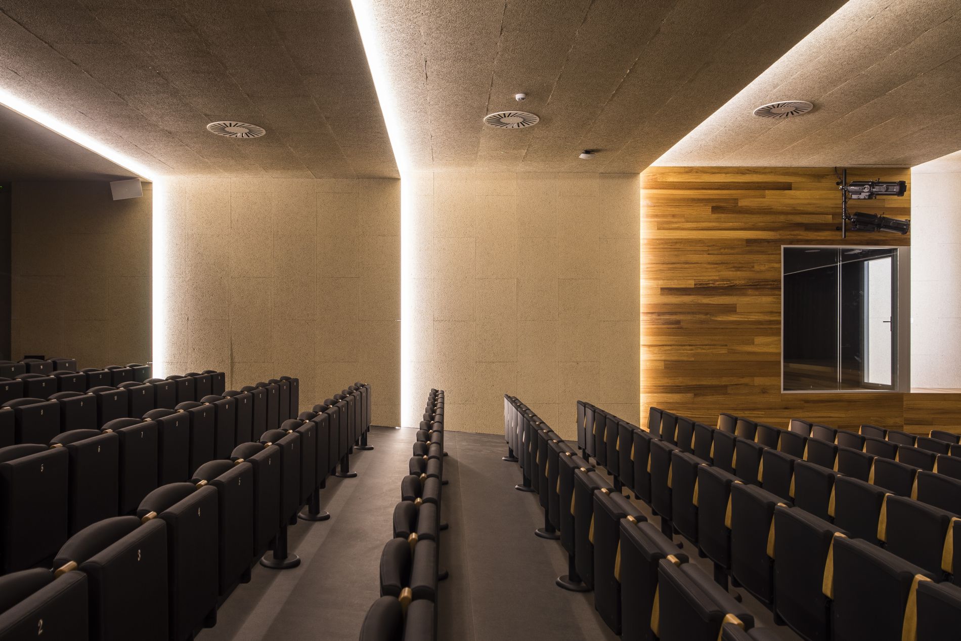 Fiark - Colegio Summa 3