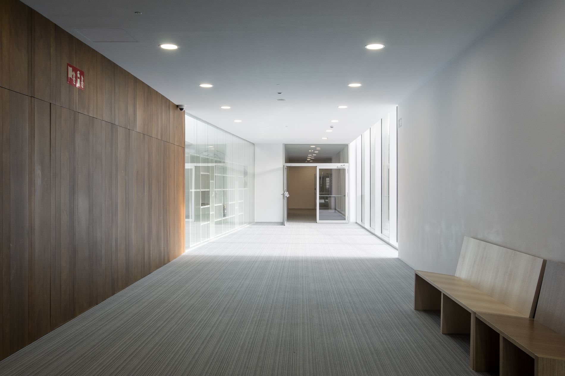Fiark - Summa Ikastetxea 34
