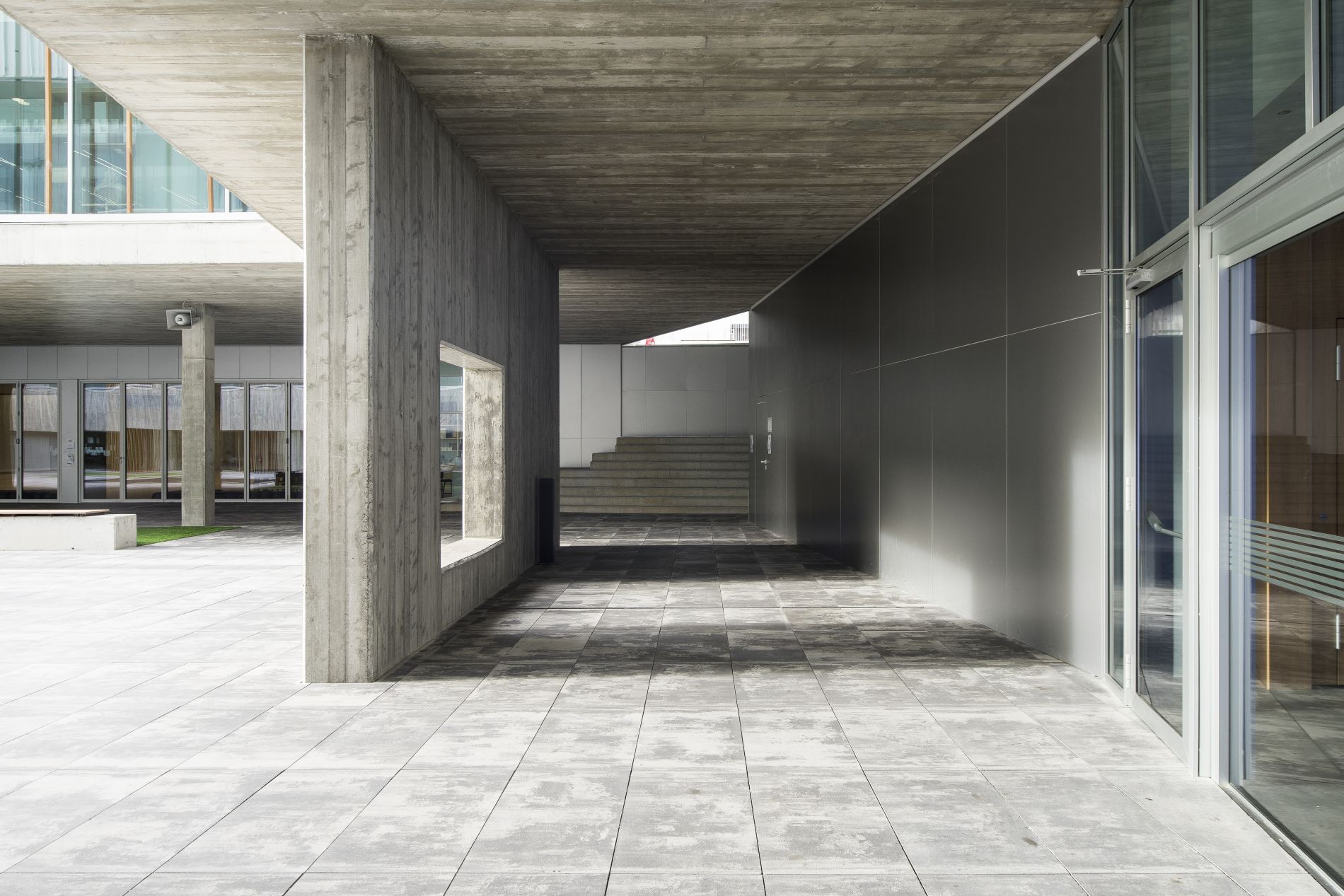 Fiark - Colegio Summa 8