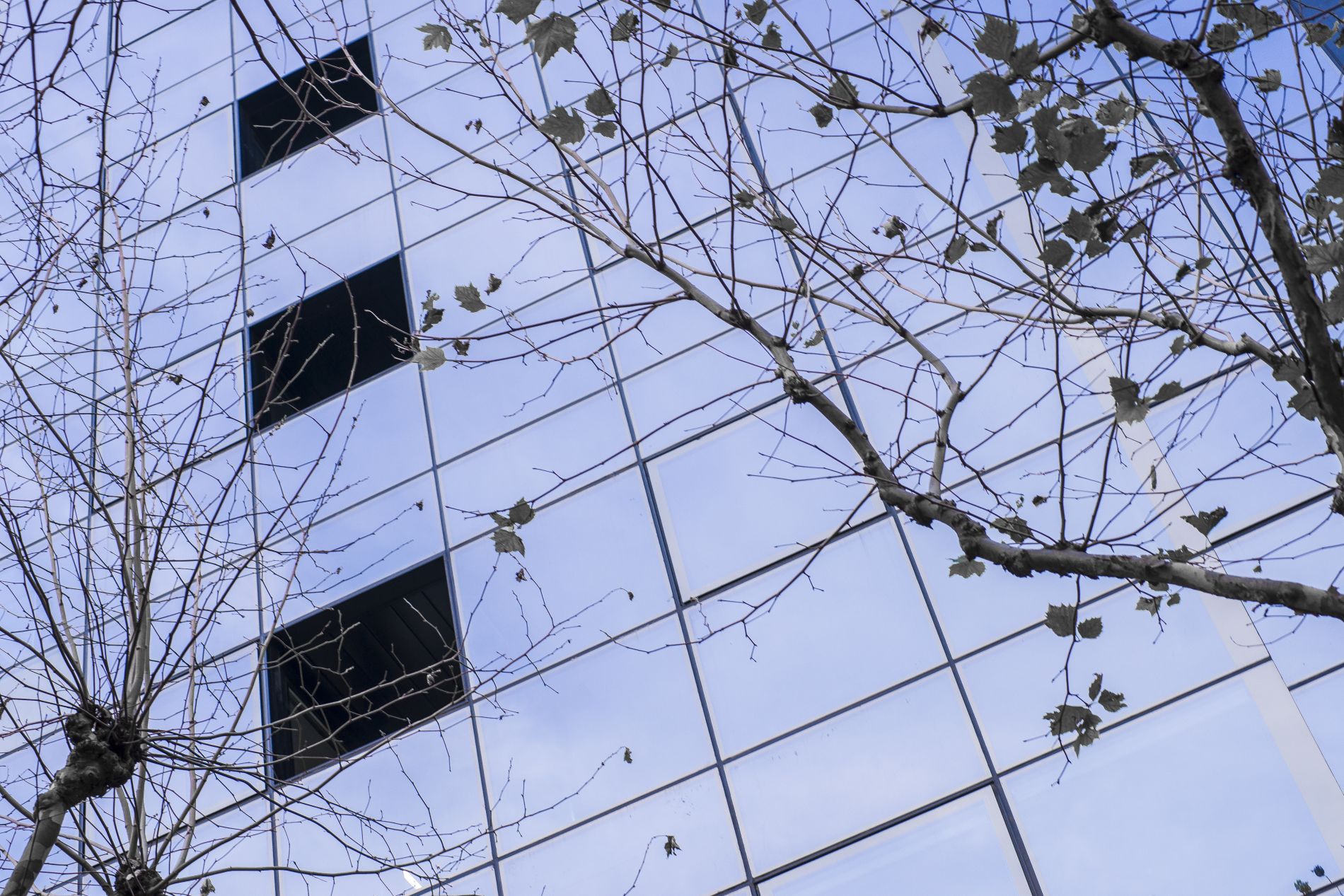 Fiark-Birgaitzea-fatxada-en-Avenida-25-10