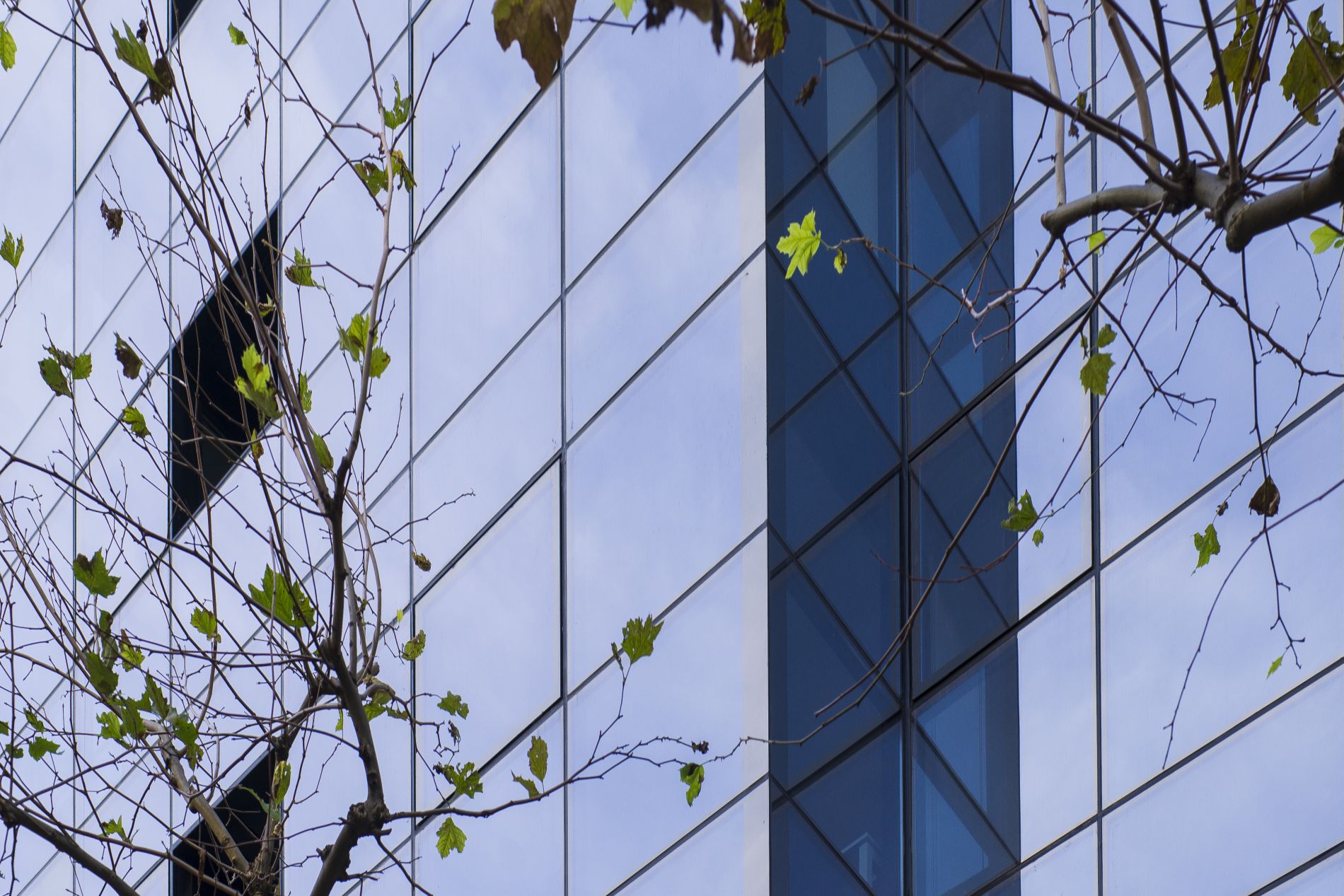 Fiark-Birgaitzea-fatxada-en-Avenida-25-11