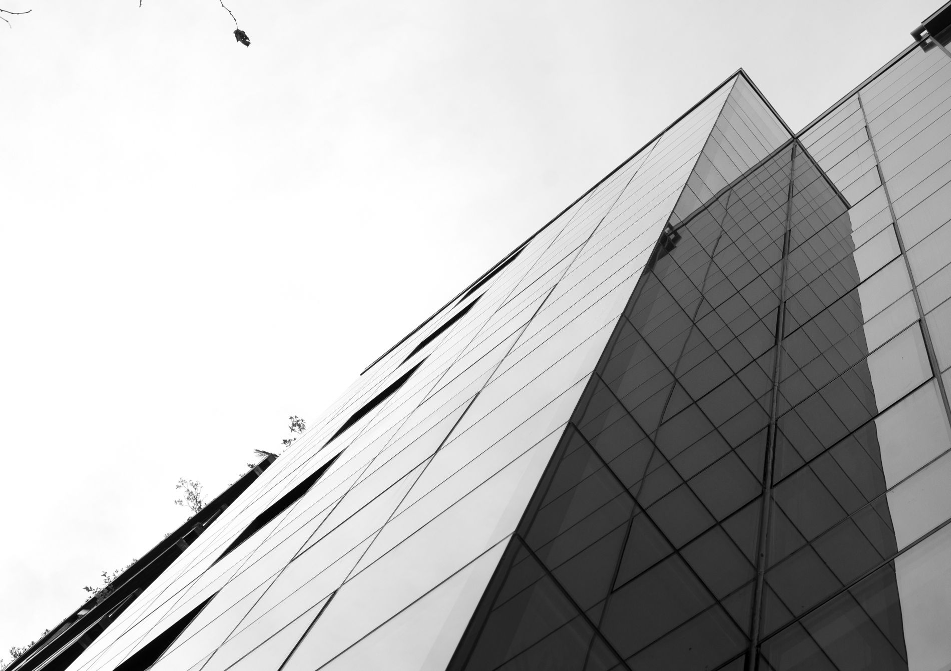Fiark-Birgaitzea-fatxada-en-Avenida-25-13