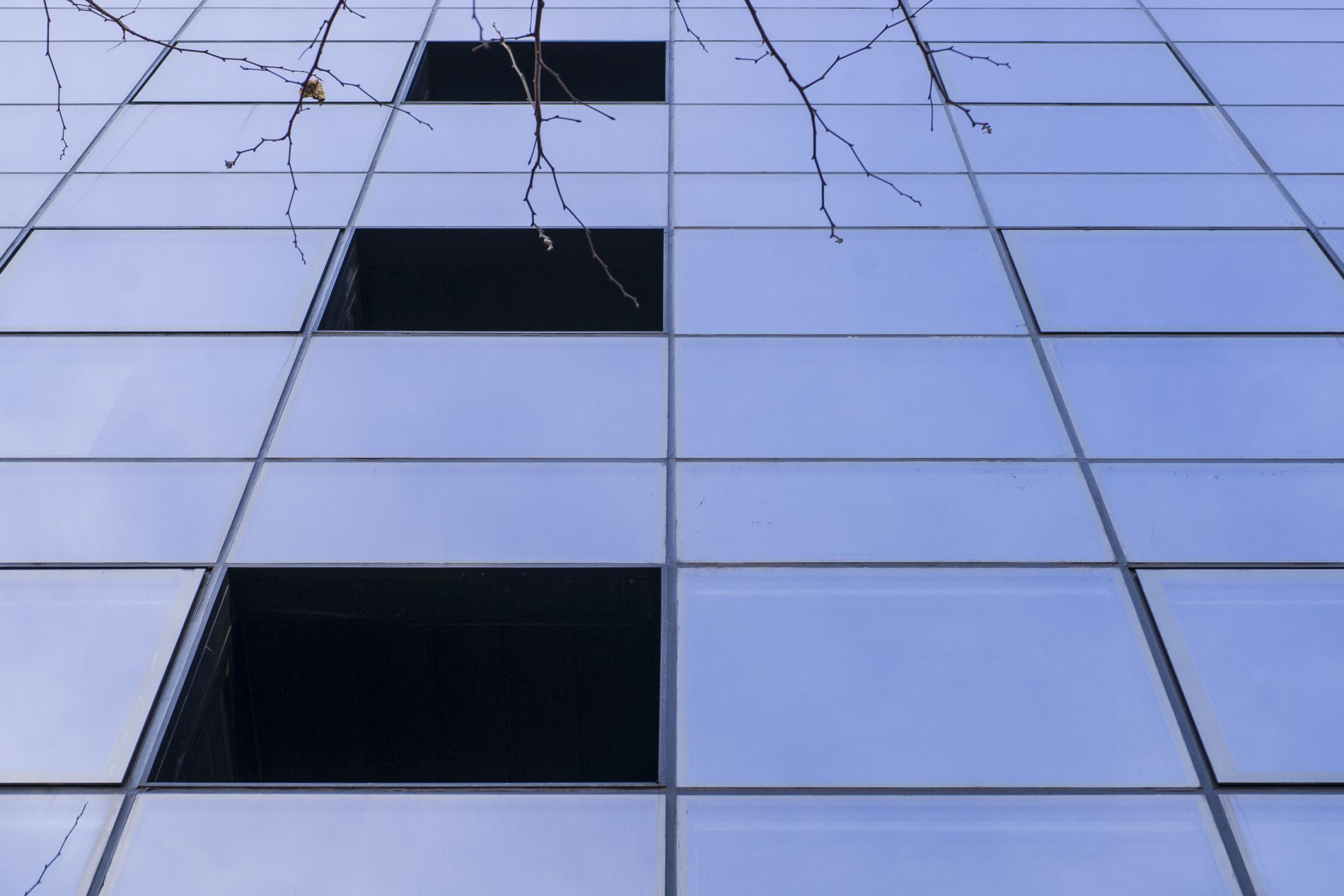 Fiark-Birgaitzea-fatxada-en-Avenida-25-14