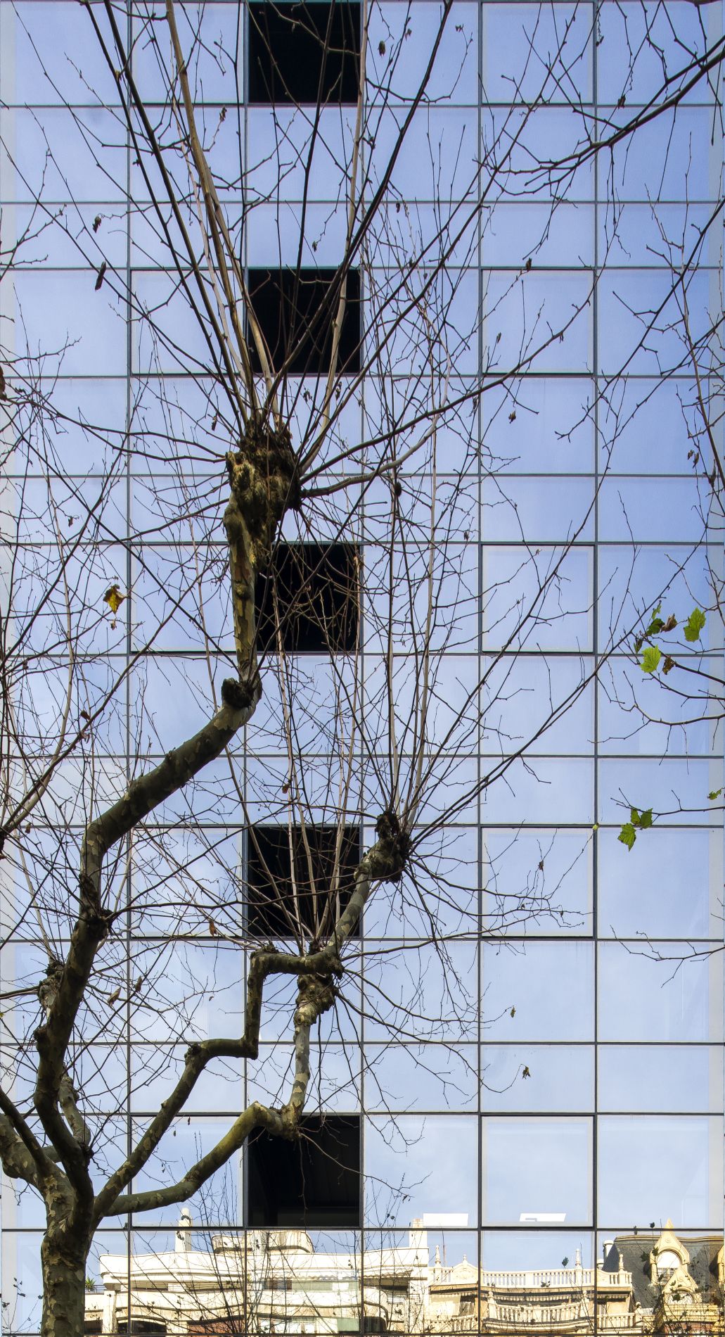 Fiark-Birgaitzea-fatxada-en-Avenida-25-8