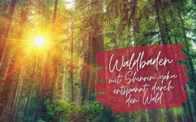 Forest bathing – Relaxed through the forest with Shinrin-yoku
