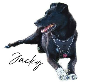 Jacky