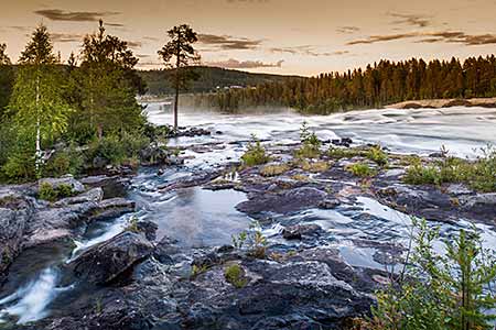 A river with rocks and trees in the background.