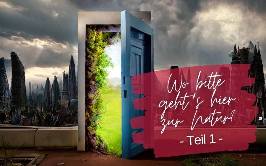 An open that will allow you to relax in