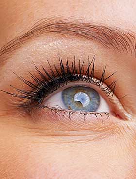 A close-up of a black eye.