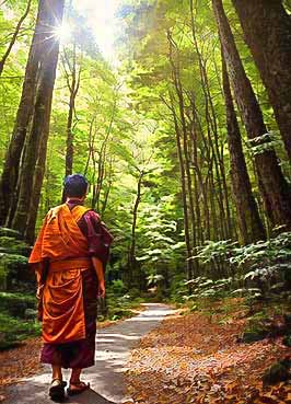 Eine Person, die durch