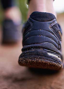 Nahaufnahme eines, im Hintergrund