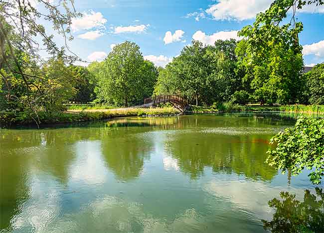 Ein ruhiger, umgeben von