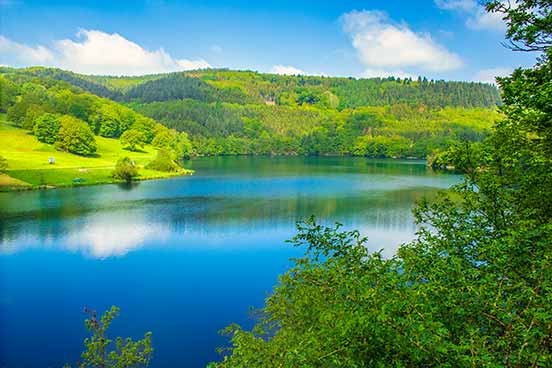 Ein ruhiger, umgeben von