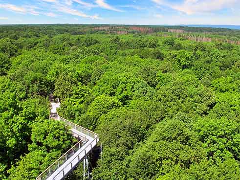 Luftaufnahme eines, der zu