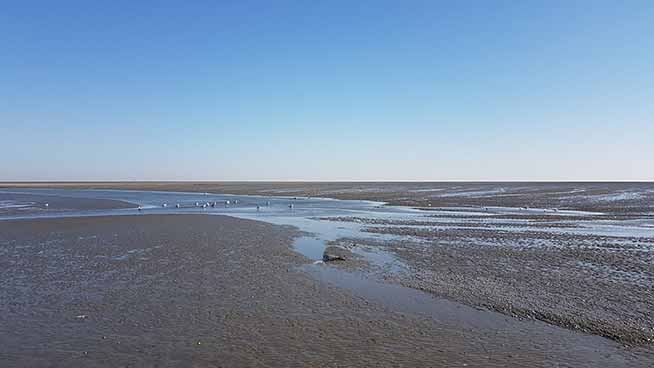 Ein weites, schlammiges Watt, die sich, blauen Himmel