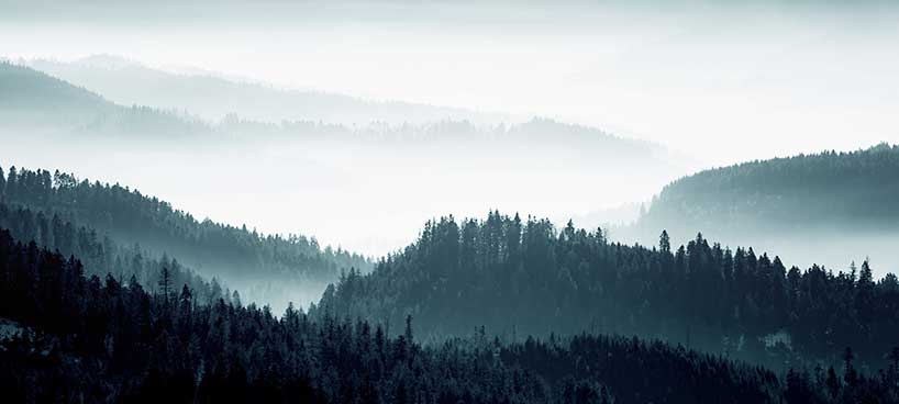 Eine heitere, neblige Landschaft, die in