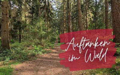 Recharge your batteries in the forest