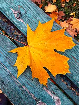 Ein großes, umgeben von