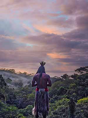 A person in traditional clothing stands with his back to us, looking at a forest with a colorful sky above.