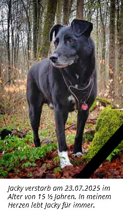 A black dog with a white chest stands in a forest. The text below commemorates the death of the dog at the age of 15 years on 23.07.2025.