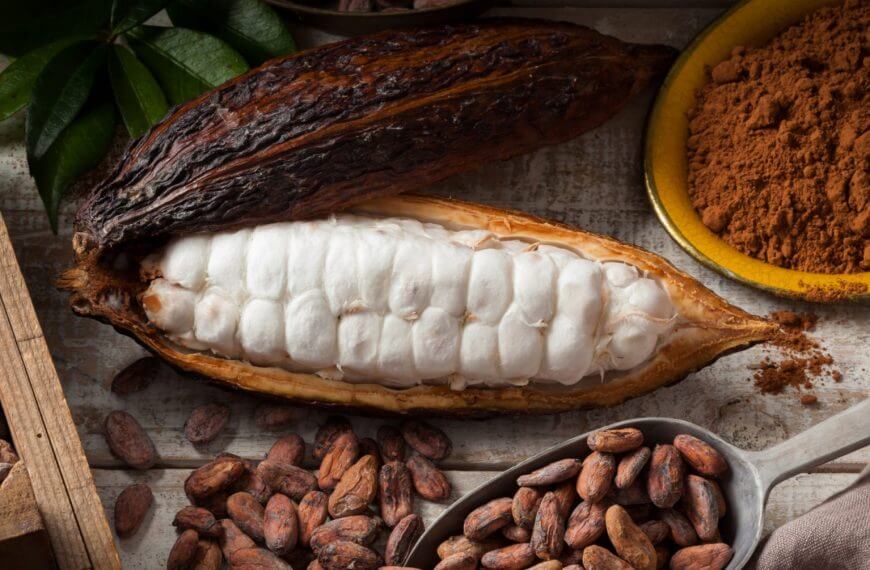 open cacao pod, dried beans, and powder in a yellow bowl—perfect for iligan’s national cacao congress display.