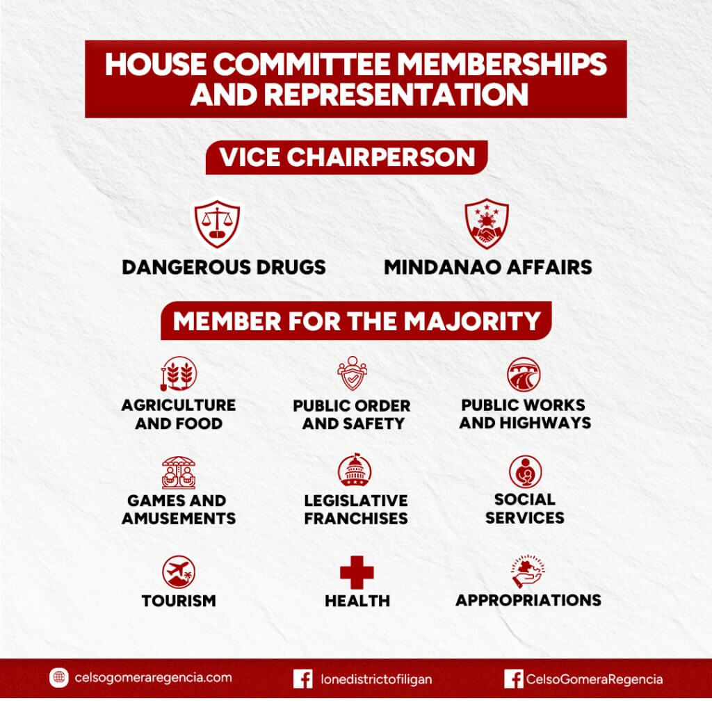 infographic of iligan’s house committee roles: vice chair, majority member, celso regencia, and ten committees.