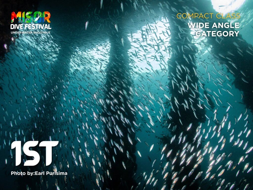 swarm of small fish swim beneath pier pilings, sunlight streaming in—perfect for compact class photographers.