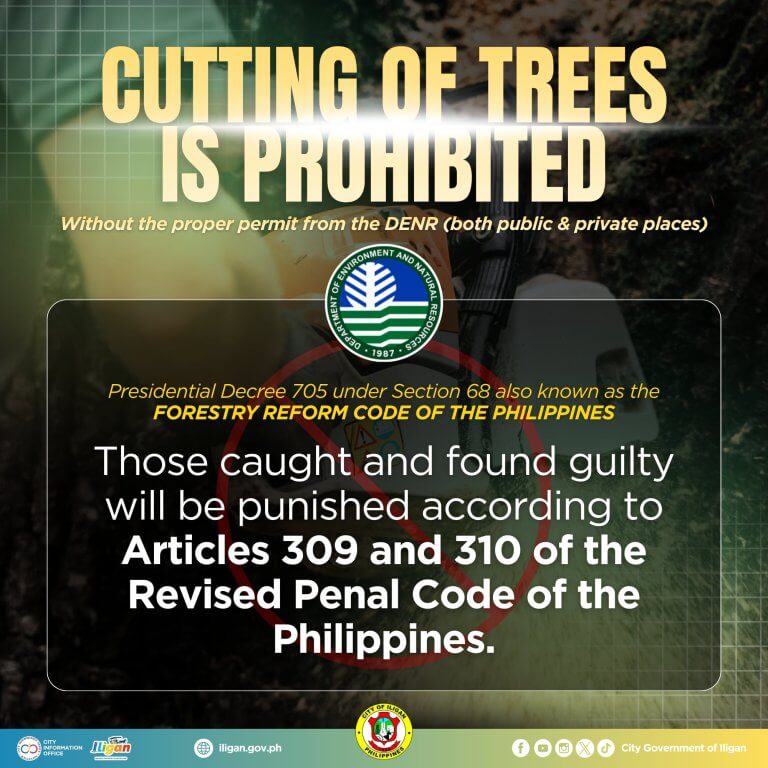 text graphic: cutting trees without permit in iligan faces legal penalties under articles 309, 310.