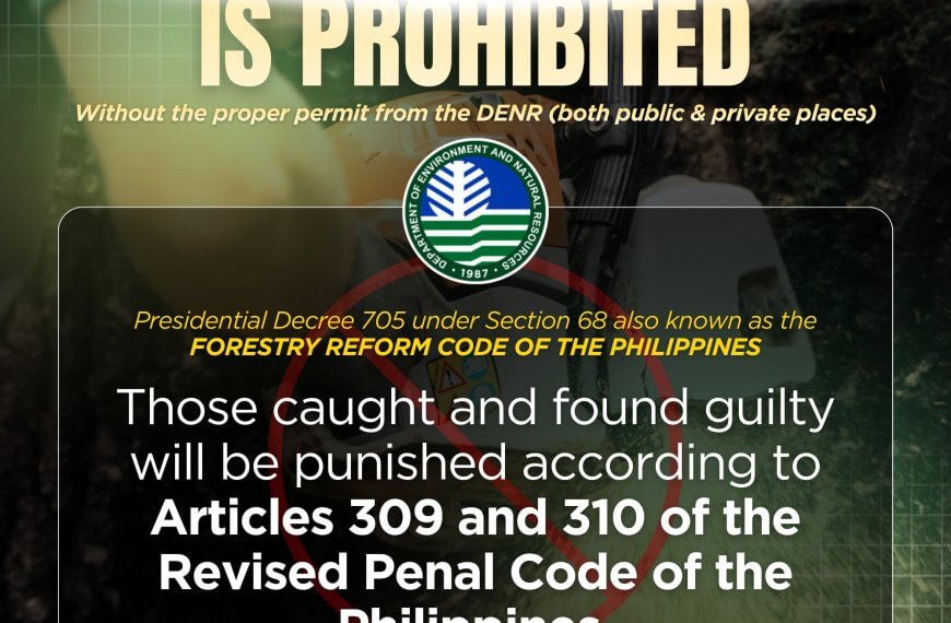 text graphic: cutting trees without permit in iligan faces legal penalties under articles 309, 310.