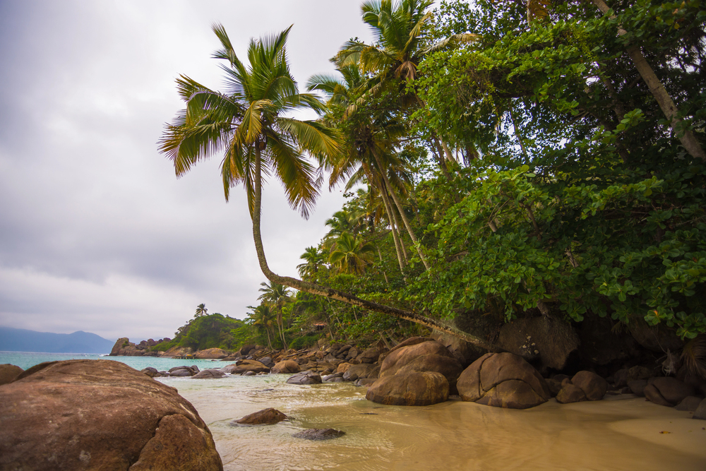 से स्थानान्तरण Ilha Grande