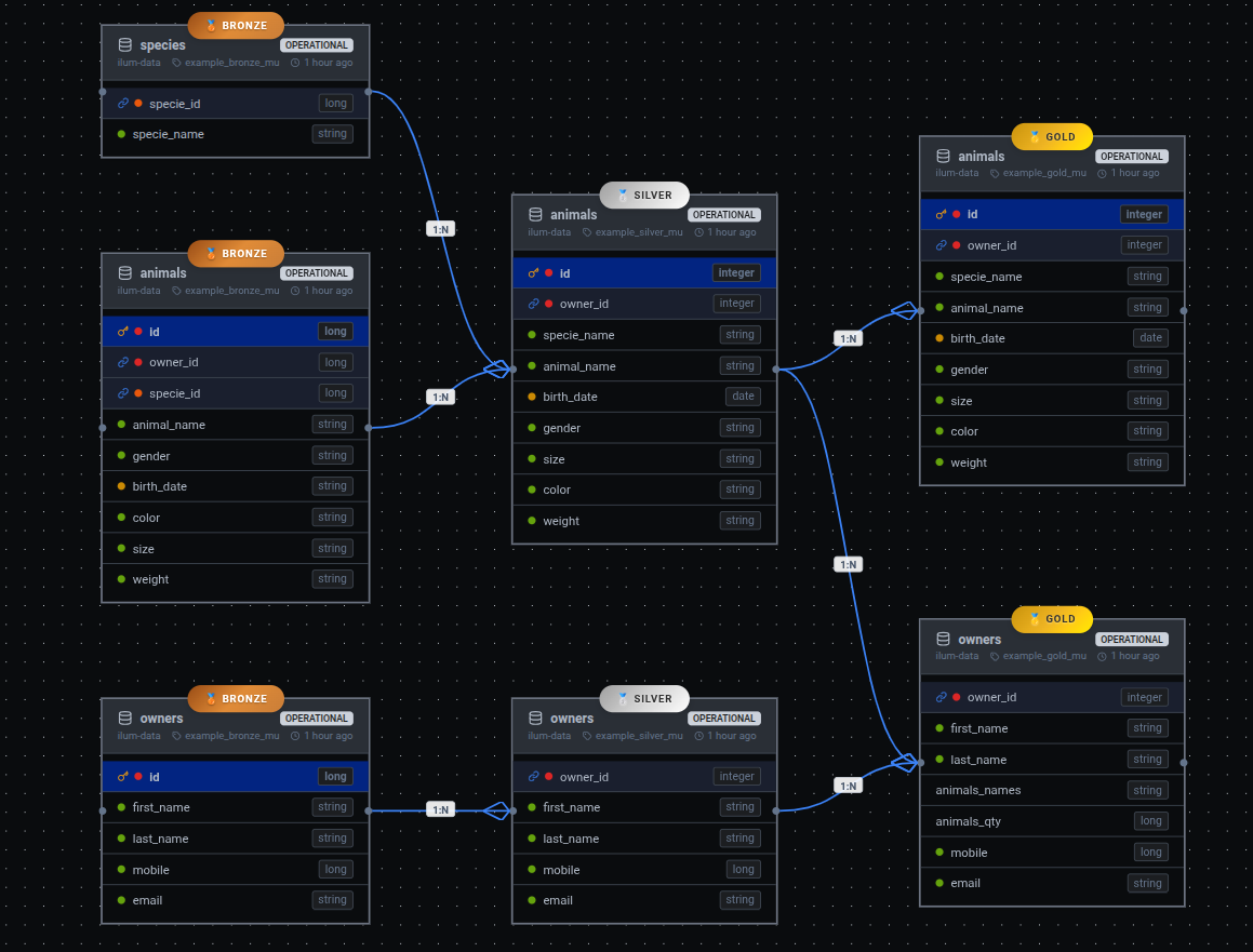 Example lineage graph