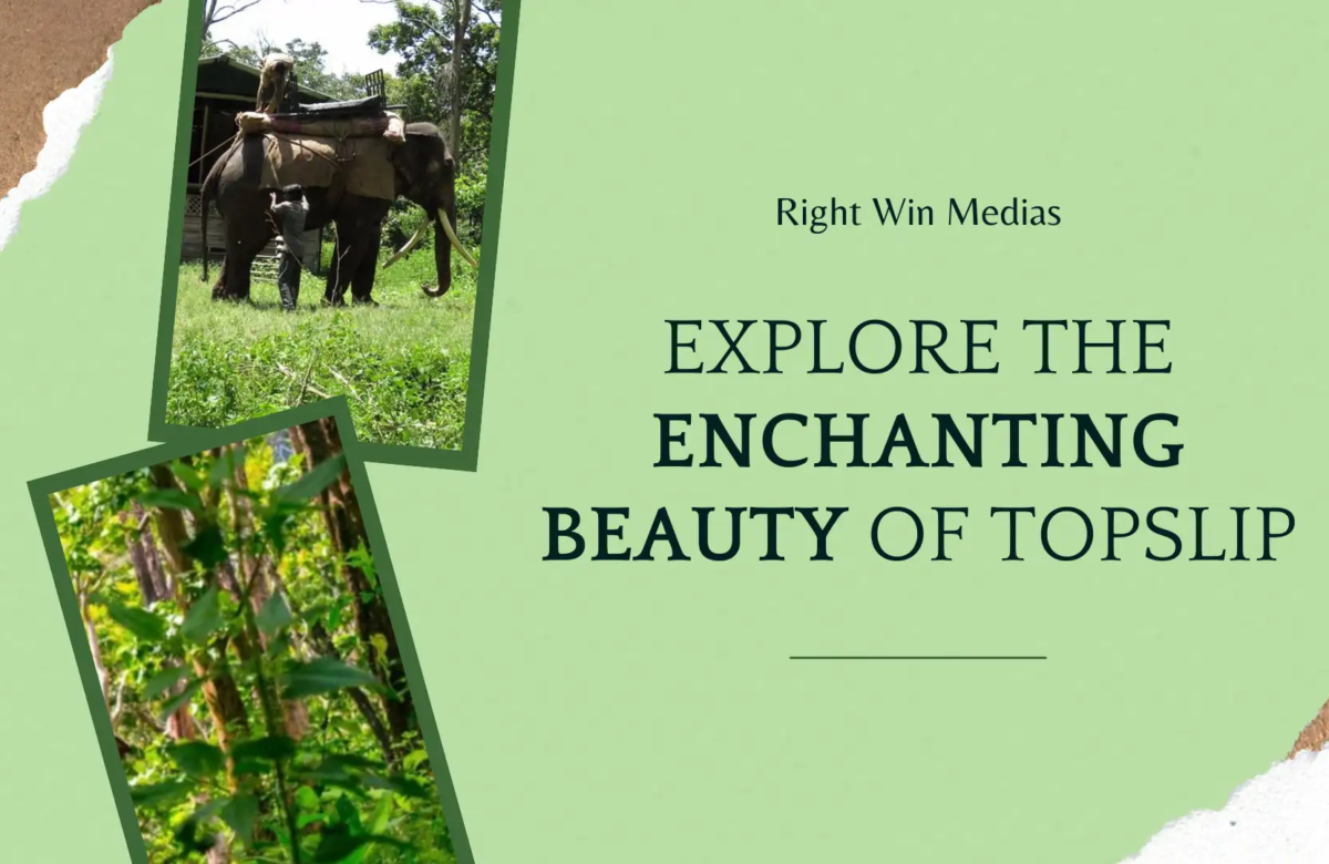  Explore the Enchanting Beauty of TopSlip, Pollachi: Your Ultimate Travel Guide