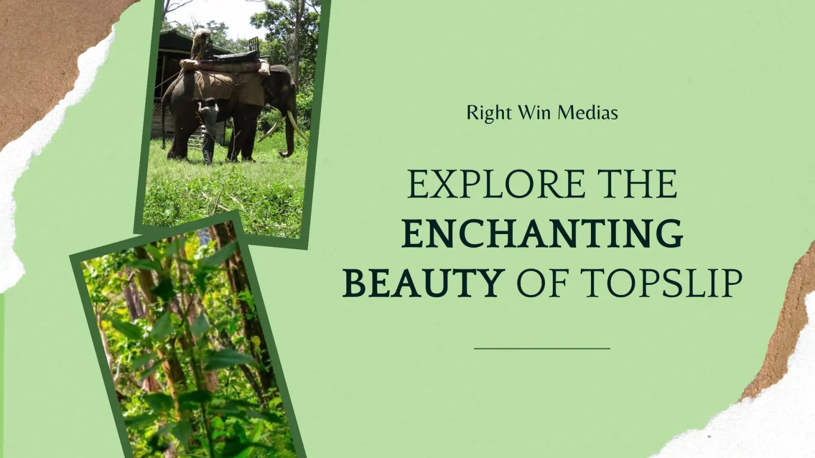  Explore the Enchanting Beauty of TopSlip, Pollachi: Your Ultimate Travel Guide