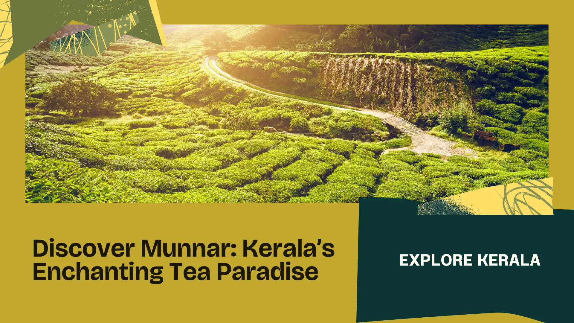  Munnar: Discover Kerala’s Enchanting Tea Paradise