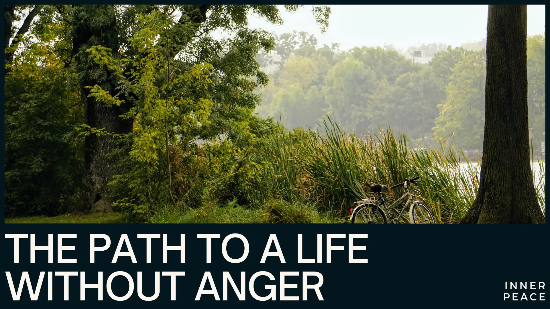  The Path to a Life Without Anger