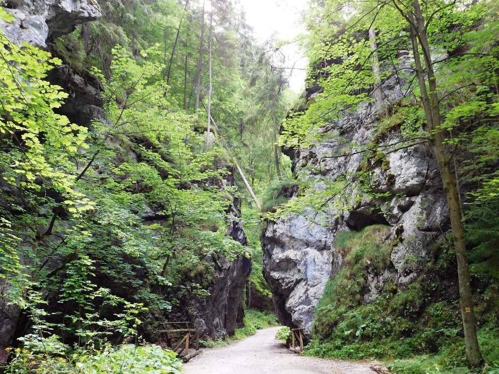 Hrad Blatnica a Gaderská dolina