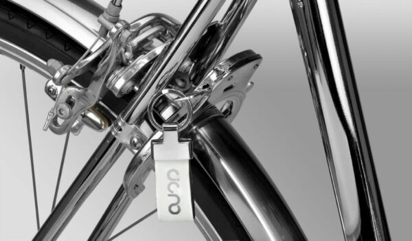 Cigno Homme Classique