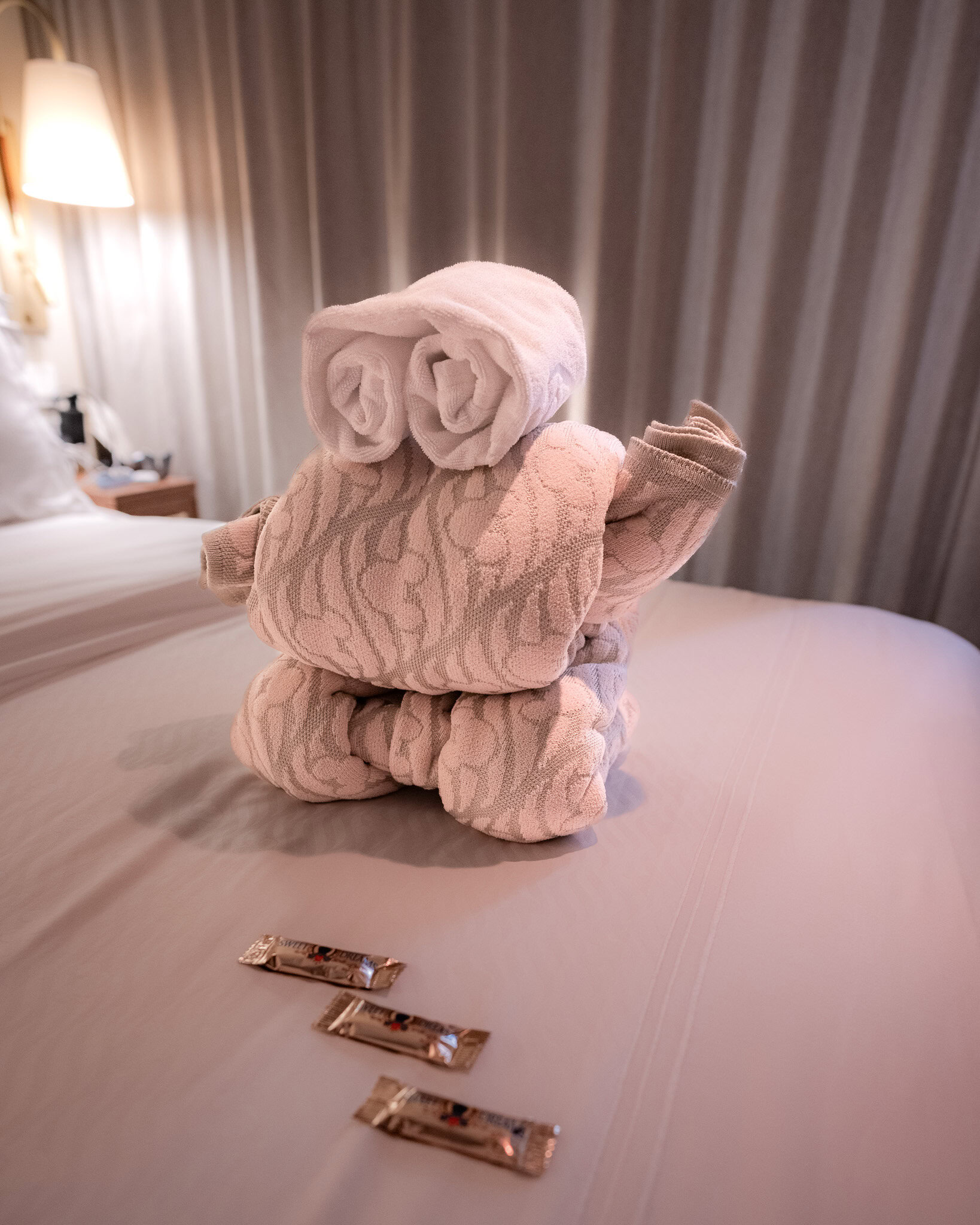 WALL·E towel animal on a Disney Cruise Line stateroom bed with chocolates