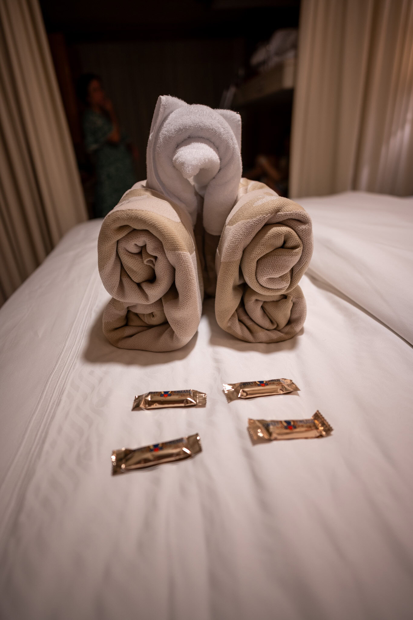 disney-magic-concierge-stateroom-towel-animal