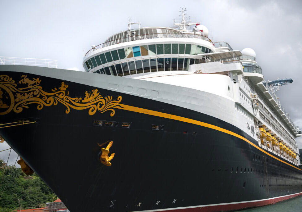 Close-up of, photographed from