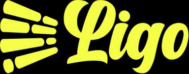 LiGo LinkedIn Groei Platform