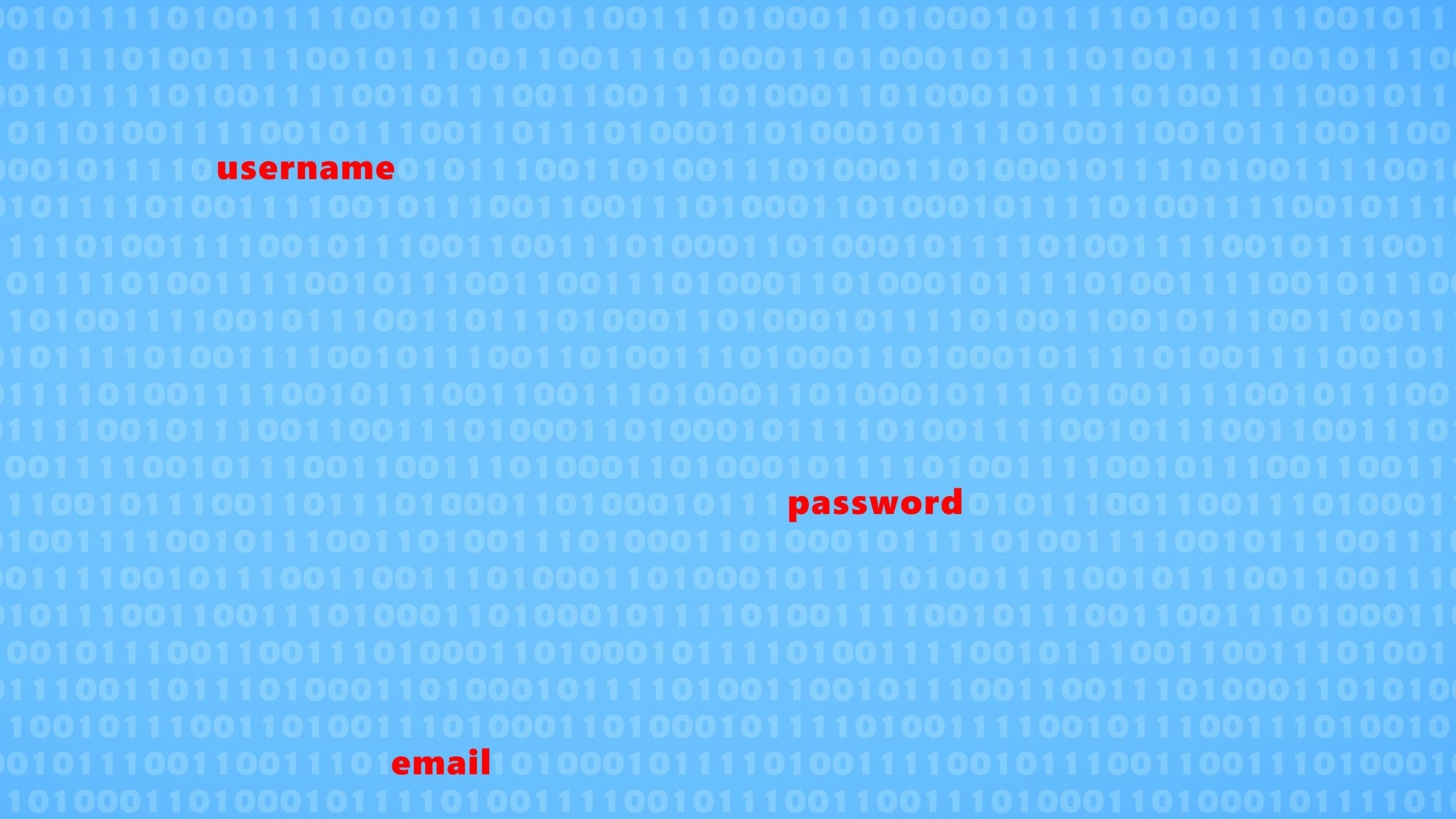 Password