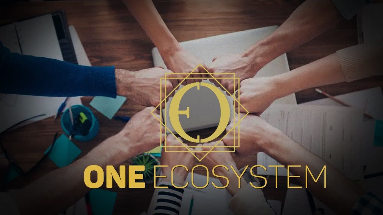 Ein Ökosystem